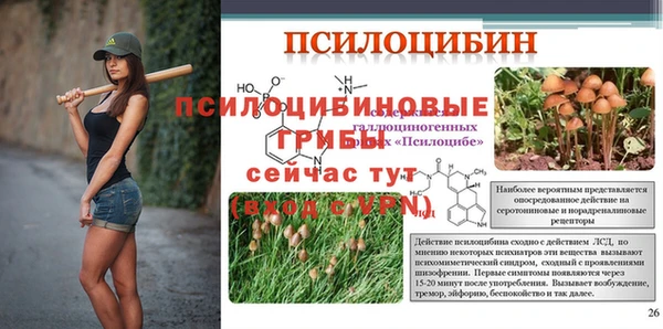 прущие грибы Заволжье