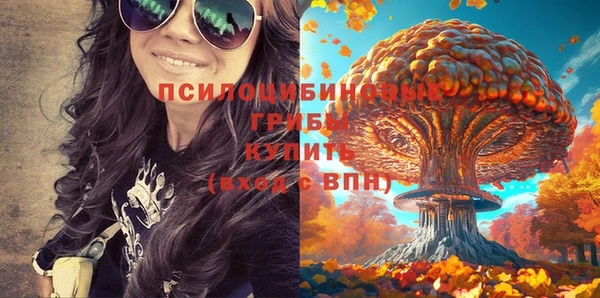 герыч Елабуга