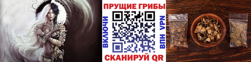 Купить  Туран  Псилоцибиновые грибы прущие грибы 